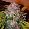CARAMELO · Delicious · cannabis seeds · Fem