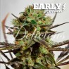 DELICIOUS CANDY EARLY VERSION · Delicious · kenevir tohum · Disi · Fem