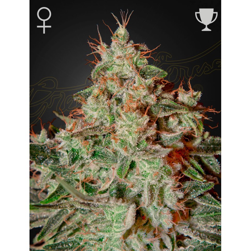 LEMON SKUNK · Green House Seeds · cannabis seeds · Fem