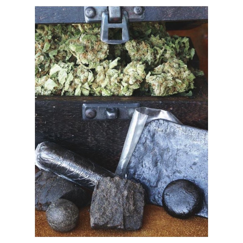 HASHBERRY · Mandala Seeds · cannabis seeds - Reg