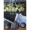 HASHBERRY · Mandala Seeds · cannabis seeds - Reg