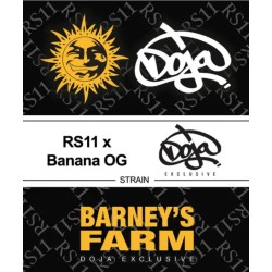 RS11 X BANANA OG · Barneys Farm · cannabis seeds · Fem