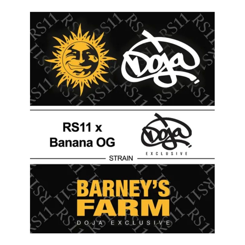 RS11 X BANANA OG · Barneys Farm · cannabis seeds · Fem