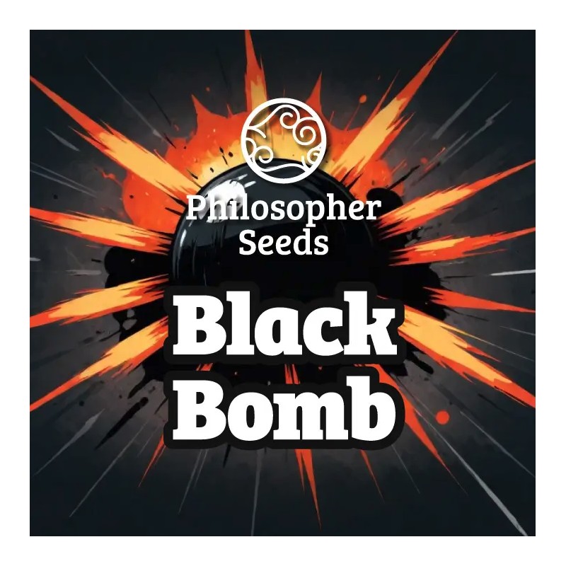 BLACK BOMB · Philosopher Seeds · cannabis seeds · Fem