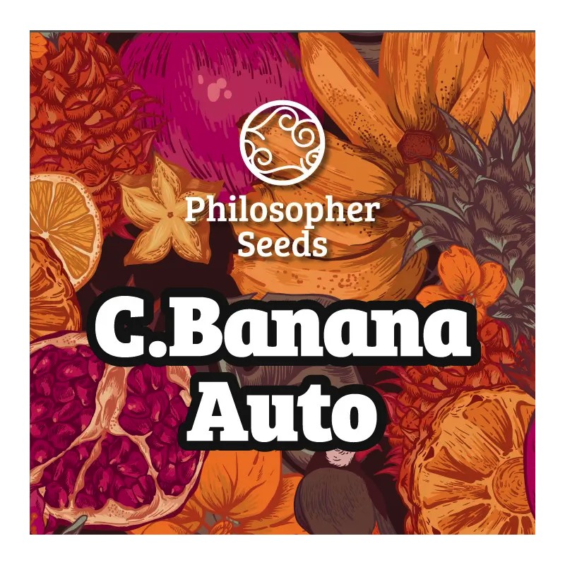C BANANA AUTO · Philosopher Seeds · cannabis seeds · AutoFem