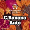 C BANANA AUTO · Philosopher Seeds · kenevir tohum · Disi · AutoFem