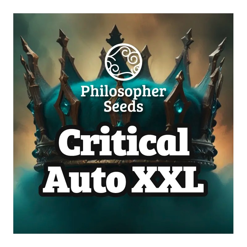 CRITICAL AUTO XXL · Philosopher Seeds · kenevir tohum · Disi · AutoFem