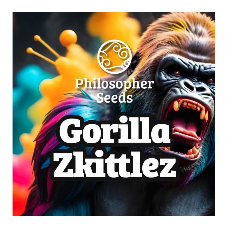 GORILLA ZKITTLEZ · Philosopher Seeds · kenevir tohum · Disi · Fem