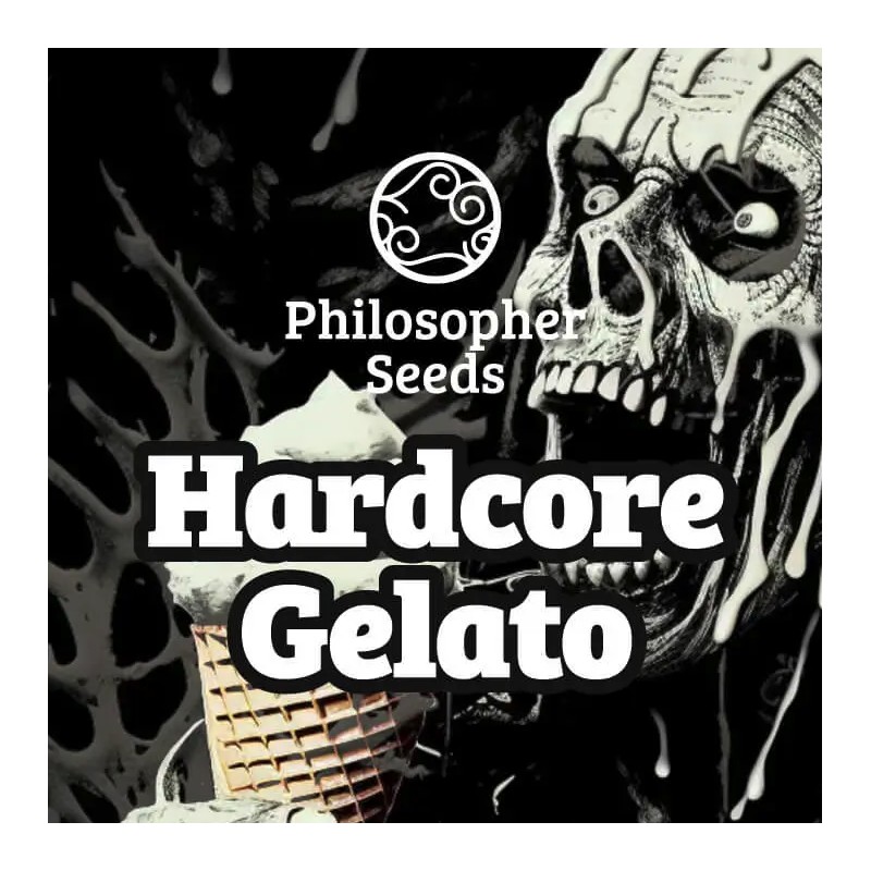 HARDCORE GELATO · Philosopher Seeds · kenevir tohum · Disi · Fem