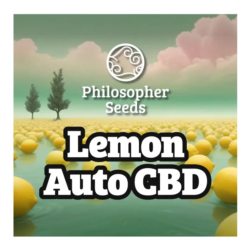 LEMON AUTO CBD · Philosopher Seeds · kenevir tohum · Auto Fem