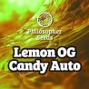 LEMON OG CANDY AUTO · Philosopher Seeds · kenevir tohum · Disi · AutoFem