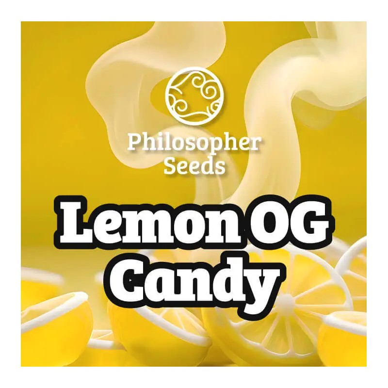 LEMON OG CANDY · Philosopher Seeds · kevenir tohum · Fem