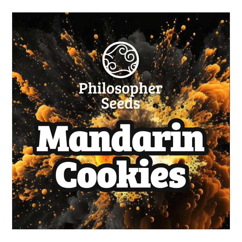 MANDARINE COOKIES · Philosopher Seeds · kenevir tohum · Disi · Fem