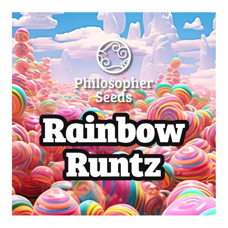 RAINBOW RUNTZ · Philosopher Seeds · kenevir tohum · Disi · Fem