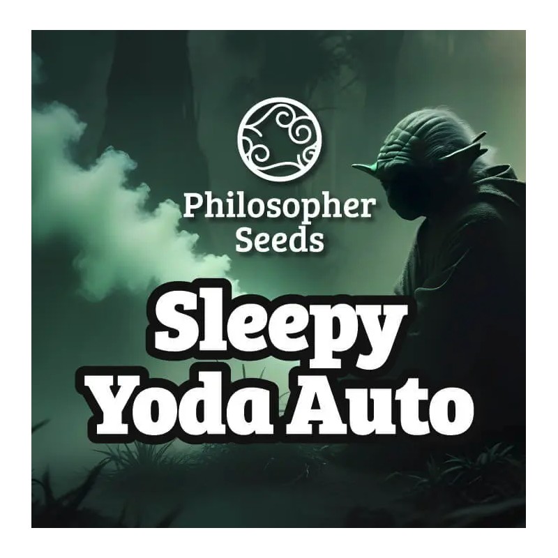 SLEEPY YODA AUTO · Philosopher Seeds · kenevir tohum · Auto Fem