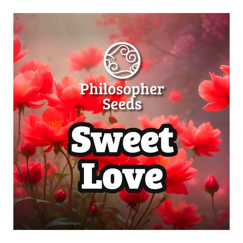 SWEETLOVE · Philosopher Seeds · kenevir tohum · Disi · Fem
