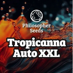 TROPICANNA AUTO XXL·...