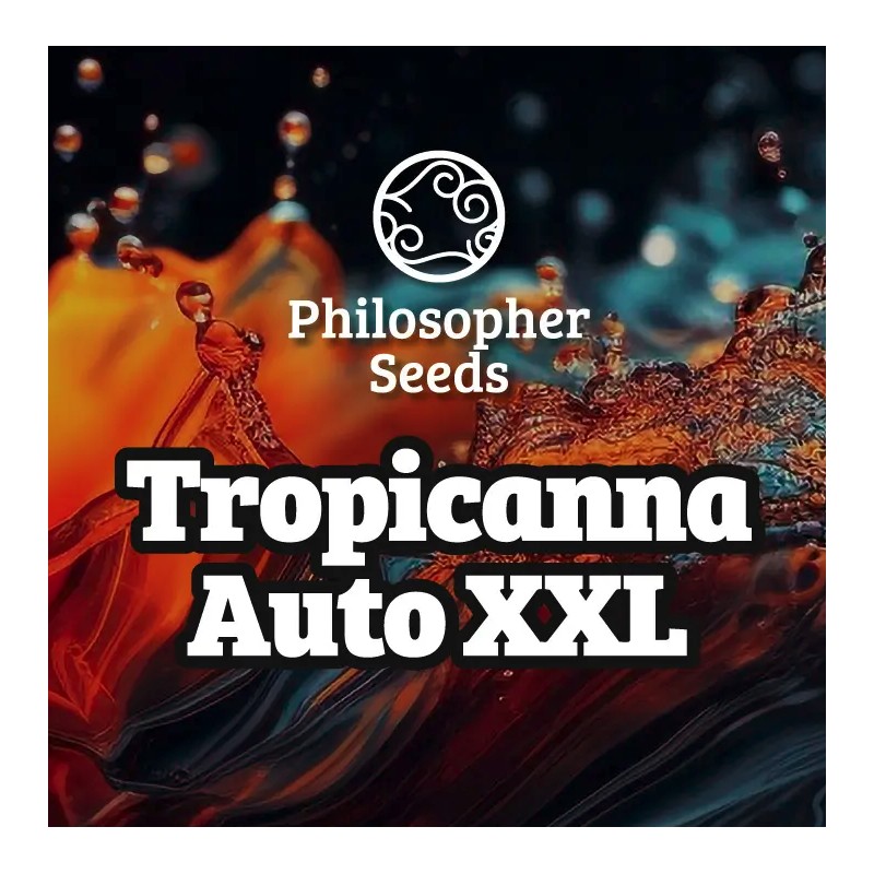 TROPICANNA AUTO XXL · Philosopher Seeds · kenevir tohum · Disi · AutoFem