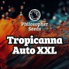 TROPICANNA AUTO XXL · Philosopher Seeds · kenevir tohum · Disi · AutoFem