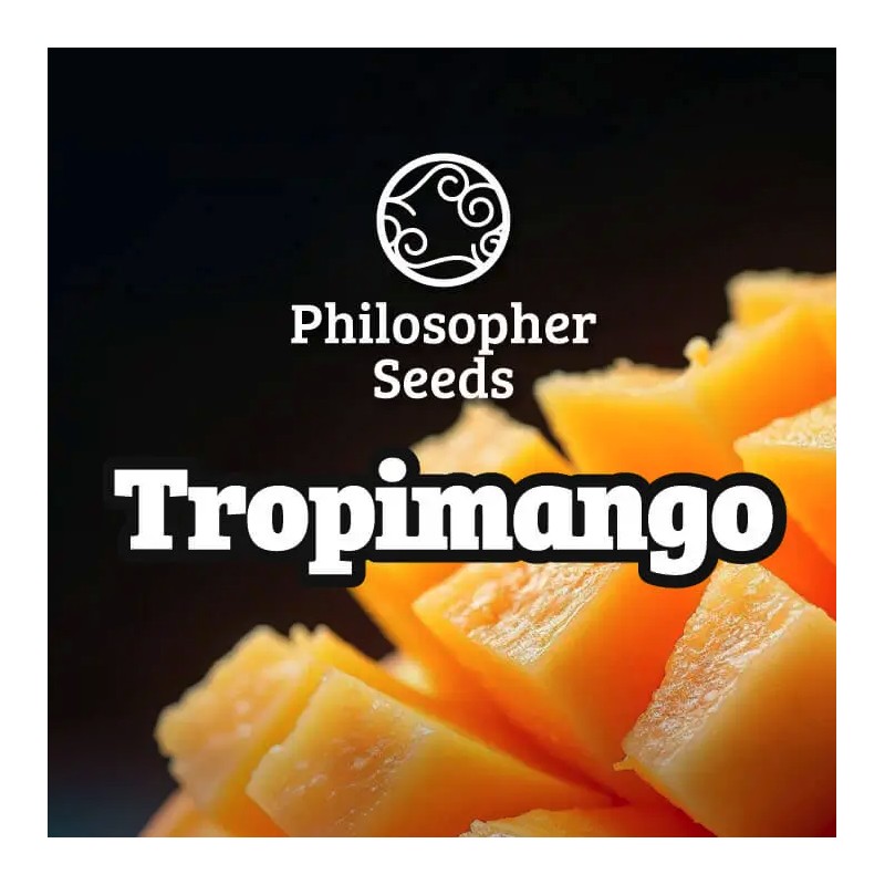 TROPIMANGO · Philosopher Seeds · cannabis seeds · Fem