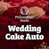 WEDDING CAKE AUTO · Philosopher Seeds · kenevir tohum · Disi · AutoFem