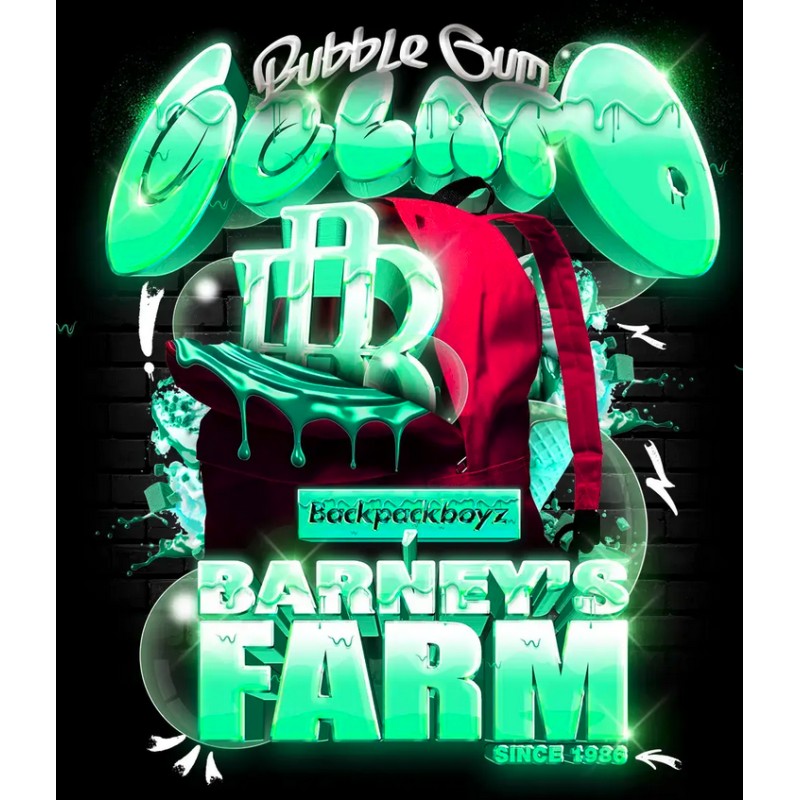 BUBBLEGUM GELATO · Barneys Farm · kenevir tohum · Disi · Fem