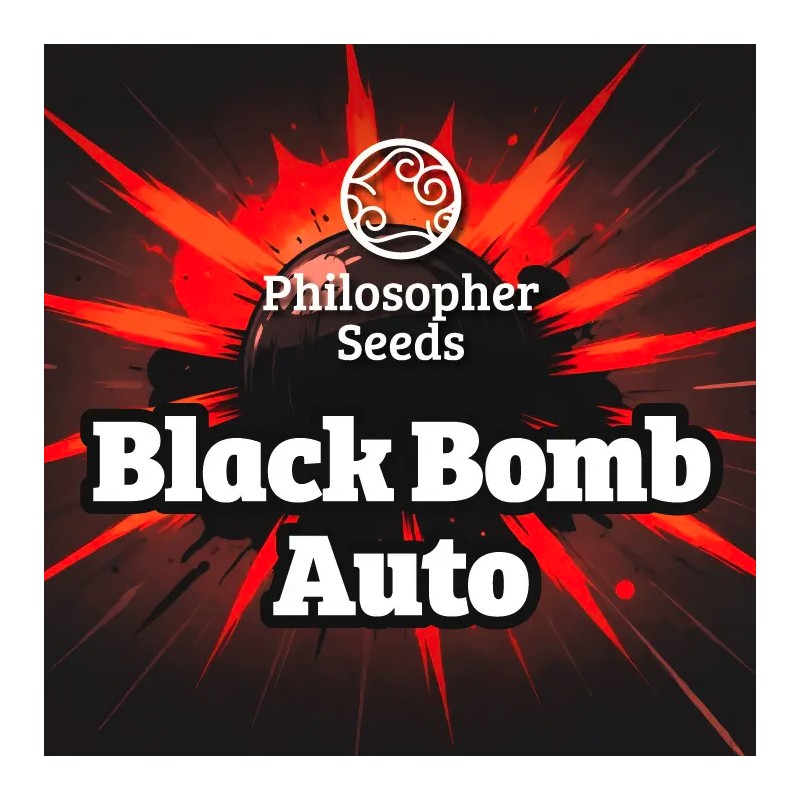 BLACK BOMB AUTO · Philosopher Seeds · kenevir tohum · Disi · AutoFem