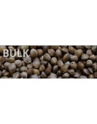 Bulk Seeds