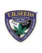 T.H Seeds Feminised