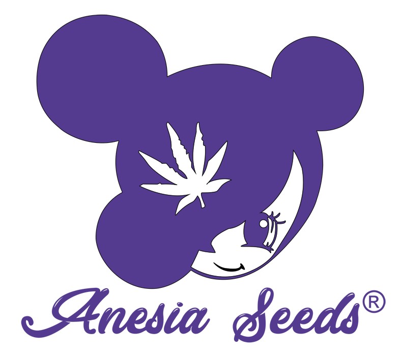 Anesia Seeds